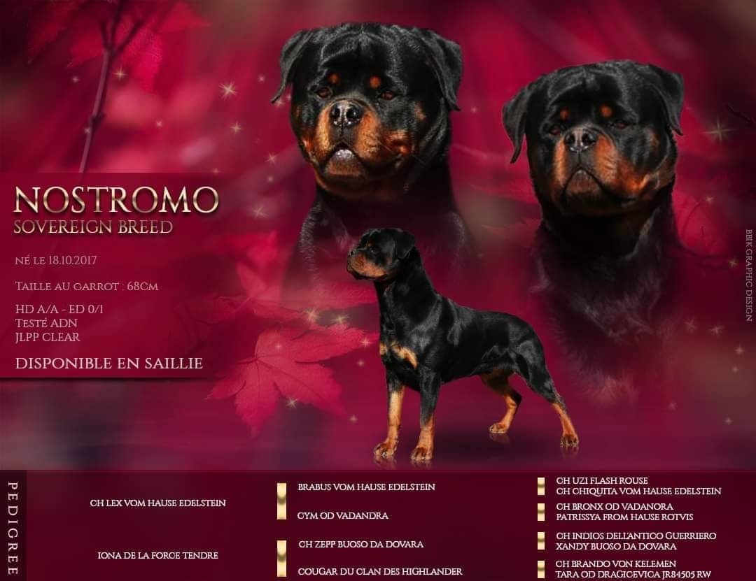 Nostromo Sovereign Breed