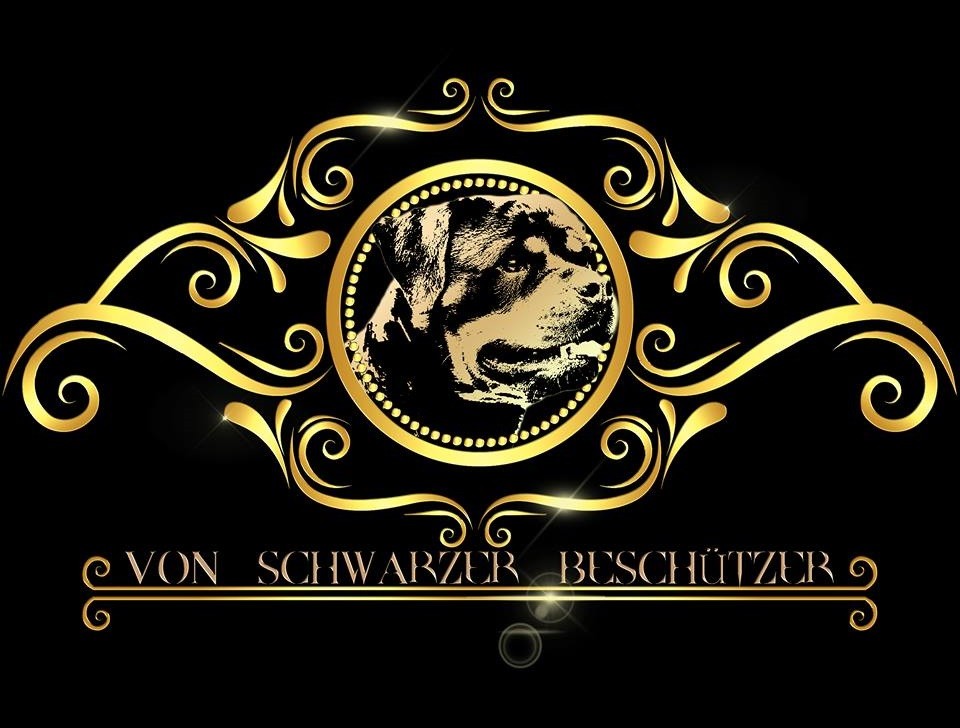 Von Schwarzer Beschützer