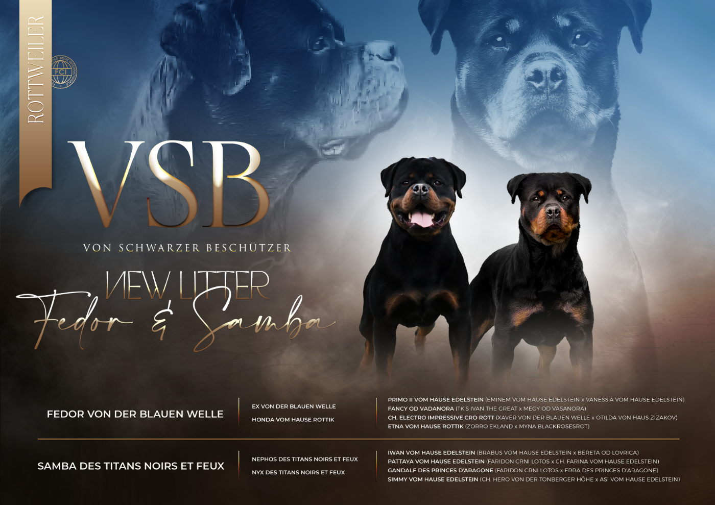Von Schwarzer Beschützer - Rottweiler - Portée née le 02/07/2026